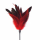 Лоскітка червона Art of Sex - Feather Paddle, перо молодого півня Лоскітка червона Art of Sex - Feather Paddle, перо молодого півня
