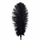 Лоскітка зі страусиним пером Art of Sex - Feather Tickler, колір Чорний Лоскітка зі страусиним пером Art of Sex - Feather Tickler, колір Чорний