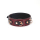 Шкіряний нашийник з повідцем Liebe Seele Wine Red Collar and Leash, 3 кільця для кріплення Шкіряний нашийник з повідцем Liebe Seele Wine Red Collar and Leash, 3 кільця для кріплення
