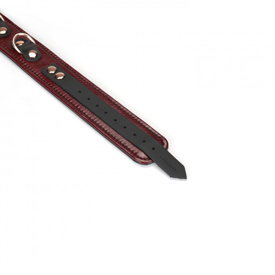 Шкіряний нашийник з повідцем Liebe Seele Wine Red Collar and Leash, 3 кільця для кріплення Шкіряний нашийник з повідцем Liebe Seele Wine Red Collar and Leash, 3 кільця для кріплення