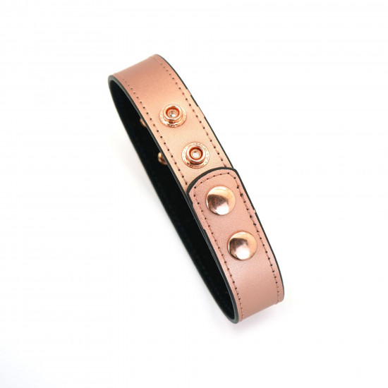 Нашийник із затискачами для сосків Liebe Seele Rose Gold Memory Collar with Nipple Clamps, шкіра Нашийник із затискачами для сосків Liebe Seele Rose Gold Memory Collar with Nipple Clamps, шкіра