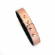 Нашийник із затискачами для сосків Liebe Seele Rose Gold Memory Collar with Nipple Clamps, шкіра Нашийник із затискачами для сосків Liebe Seele Rose Gold Memory Collar with Nipple Clamps, шкіра