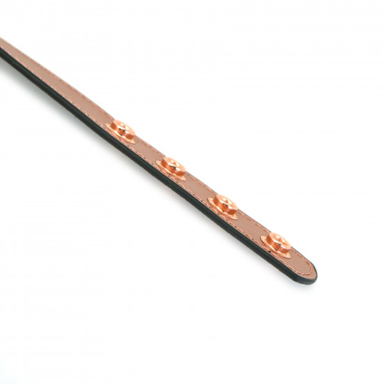 Нашийник із затискачами для сосків Liebe Seele Rose Gold Memory Collar with Nipple Clamps, шкіра Нашийник із затискачами для сосків Liebe Seele Rose Gold Memory Collar with Nipple Clamps, шкіра