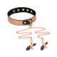 Нашийник із затискачами для сосків Liebe Seele Rose Gold Memory Collar with Nipple Clamps, шкіра Нашийник із затискачами для сосків Liebe Seele Rose Gold Memory Collar with Nipple Clamps, шкіра