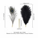 Лоскітка LOCKINK SEVANDA Natural Peacock Flirting Feather Tickler, перо павича Лоскітка LOCKINK SEVANDA Natural Peacock Flirting Feather Tickler, перо павича