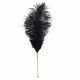 Лоскітка LOCKINK SEVANDA Natural Peacock Flirting Feather Tickler, перо павича Лоскітка LOCKINK SEVANDA Natural Peacock Flirting Feather Tickler, перо павича