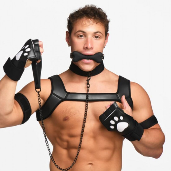 Набір BDSM цуценя Master Series Luxury Pup Arsenal Set - Black Набір BDSM цуценя Master Series Luxury Pup Arsenal Set - Black