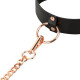 Нашийник з повідцем Rosy Gold - Collar with Leash - Black Нашийник з повідцем Rosy Gold - Collar with Leash - Black
