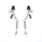 Затискачі для сосків Liebe Seele Lightning Nipple Clamps Silver